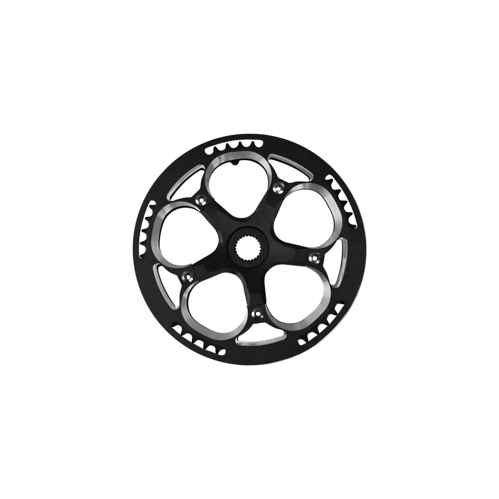 Kettenschutz für C21/M1 Pro 2025/D11 2025