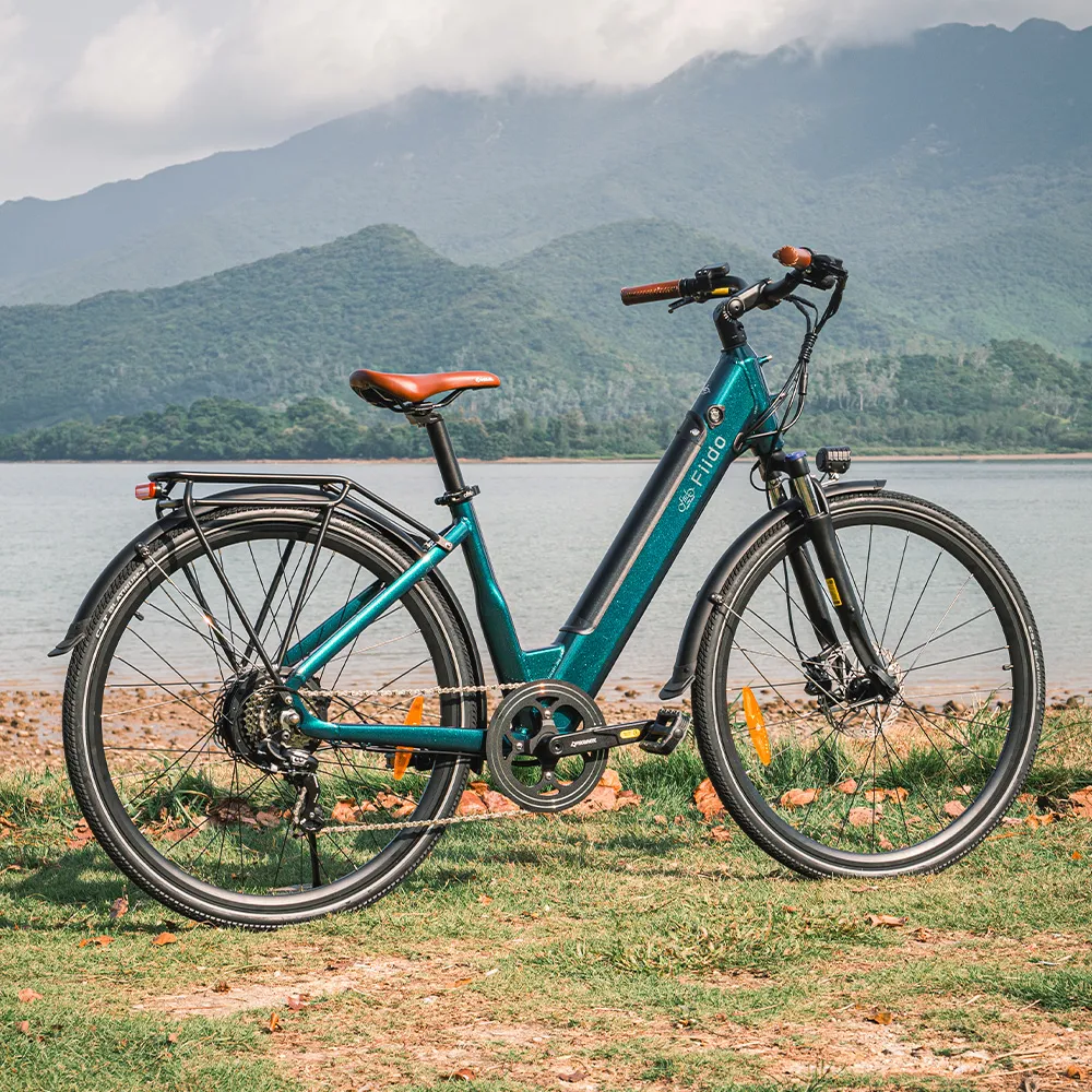 Fiido C11 Pro Leichtes Urban E-Bike - Image 7