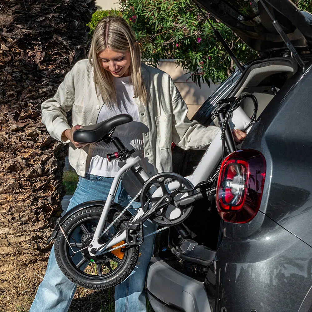 Fiido D3 Pro Mini E-Bike - Image 5