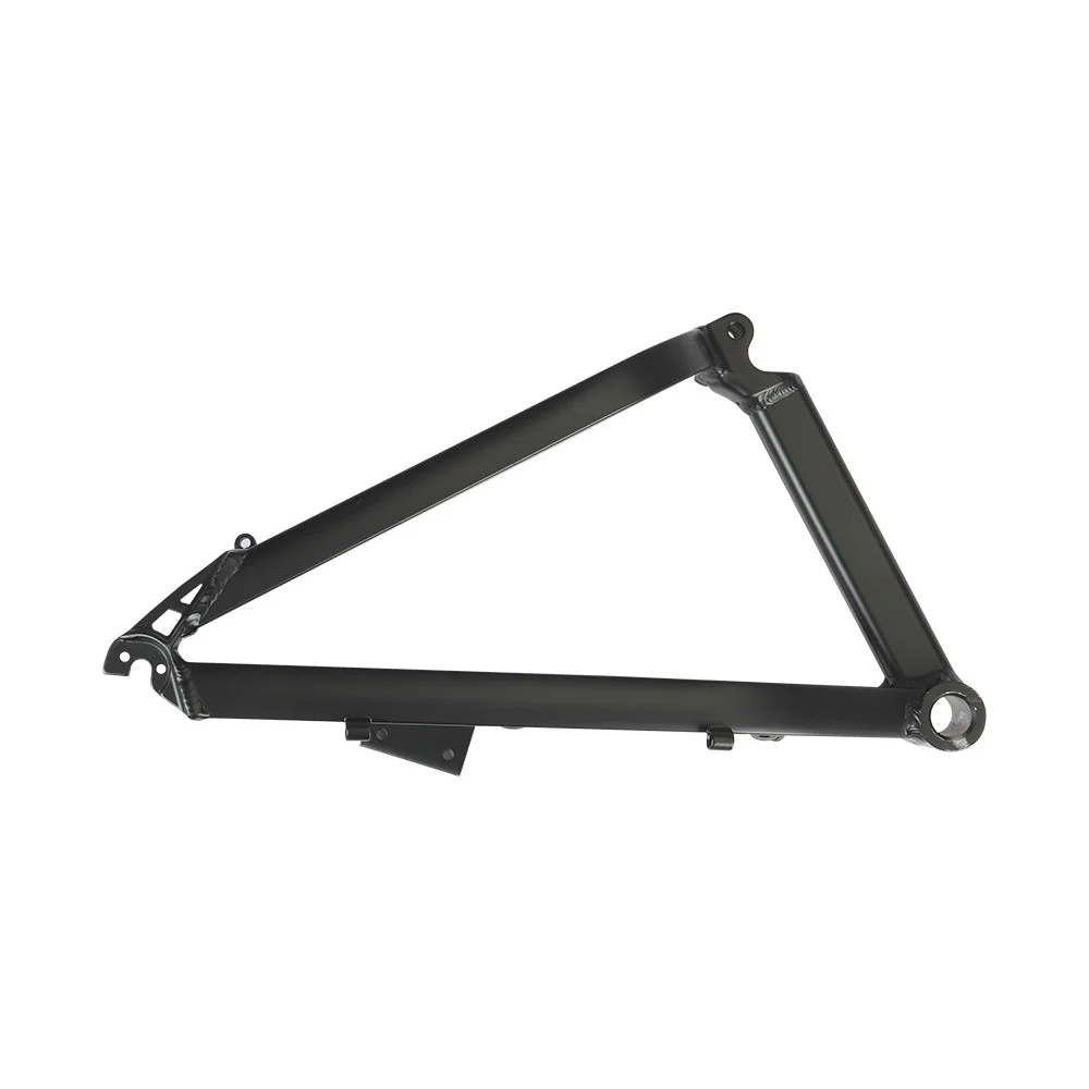 Fiido E-Bike-Hinterrahmen für M1 Pro (2024)